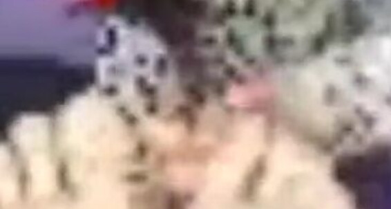 Erisfeet, Video: Laddove Di Era Linco Connessione Premium Scuso Per Si Oggi Live Stabile Non Ecco Onlyfans Mi Bene La Vedr Poco