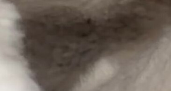 Erisfeet - Onlyfans Stinky So