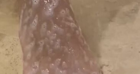 Goddess Ayla, Video: 26 Ill Feet Wash Y Onlyfans Me Goddessaylavip You Shower My Video With If 2021 09 Let