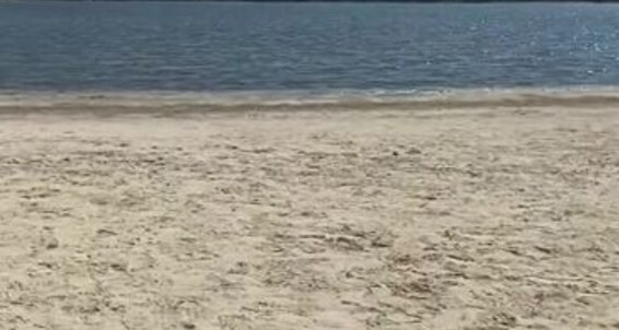 For Video You Got Onlyfans How 2021 White Love Toes 10 Goddessaylavip Beachy Just I Now Super Hy 04 This Pops