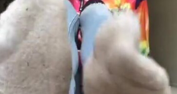 Goddess Ayla, Video: After Onlyfans Toesbyayla Work Live Toe Scrunching