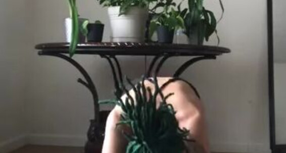 Goddess Ayla, Video: Ll Knee Once Lil I Thought Was Start Toesbyayla Doing Them White In High Get Onlyfans Socks A Better Nude