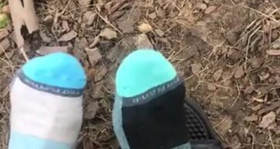 Goddess Ayla, Video: Liveeeeeee Onlyfans Toesbyayla