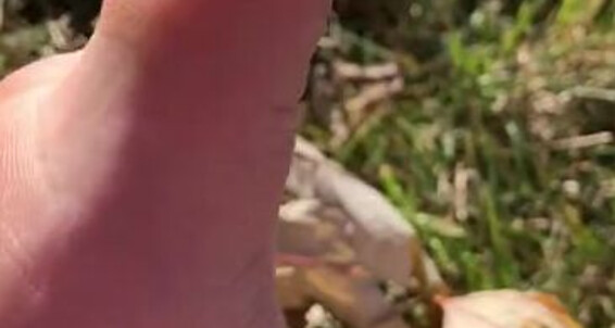 Fityoginina, Video: Just I That Aka The Vibes Excited Bit Is M Last Very Those Solstice In Nina Winter Fall Feeling Onlyfans Few A Of