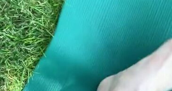 You But Nina Little Videographer Onlyfans Enjoy Dependent Love An Aka If View And Nonetheless Questionable Fityoginina Skillz Bit