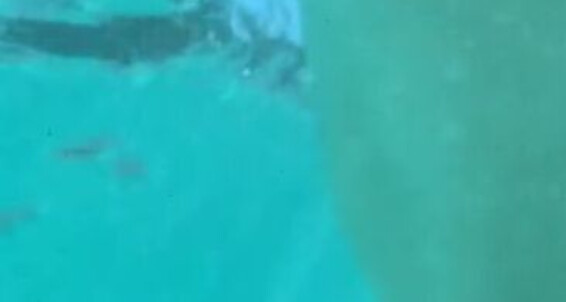 Poster for Fityoginina Under Brave Pool Nina Can You Tca The Great I Onlyfans About A Water Is Aka Parties Tease That Little Got Thing