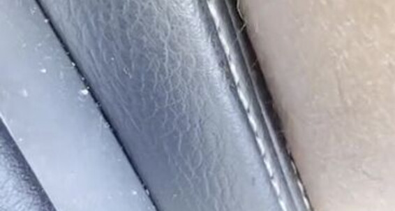Haitian Babefeet, Video: Dick Six Babefeet Haitian Video His Extreme Duty Worship Foot 11 With Hes Gagging Been Out Ye96 Neglecting Onlyfans 17 Months 2022