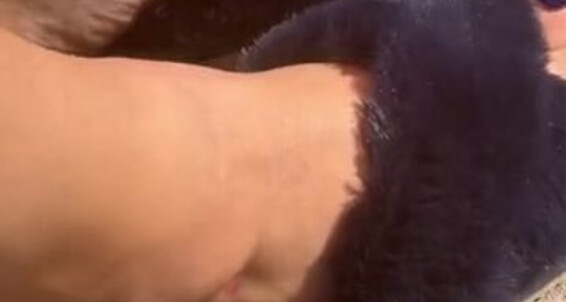 Poster for Sofieesoles Toes And Blue Slippers Onlyfans