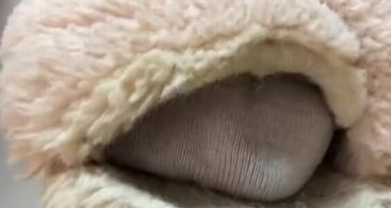 Froggee - To Wanna About Hmm My Think Give Froggeevip Onlyfans Feet And I But Slippers Snif Ll You Socks For