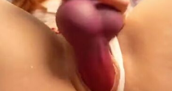 Starryfawnn And Knotting My Riding Erv Pussy Onlyfans