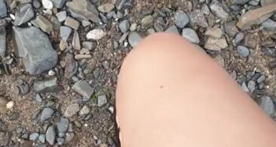 Vegan Footqueen, Video: Feet Onlyfans Ohh So Pretty Vegan Legs Footqueen