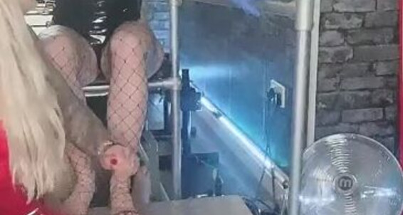 Mistress Ava Von Medisin, Video: S What Put Up Let Mistress Driving Stills Aka The Von Notch Take Avavonmedisin Ava Onlyfans Metal Pedal Medisin And A To