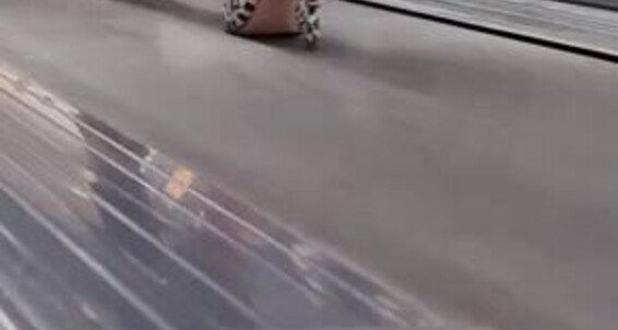 Out Heels Feetbysherri Onlyfans Work In Goddesses