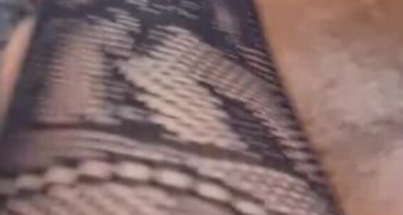 Feetbysherri, Video: Onlyfans Rubbing Chest My Soles Slaves I Enjoyed On
