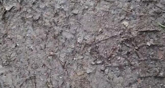 Feetbysherri, Video: Feet Onlyfans Muddy Video