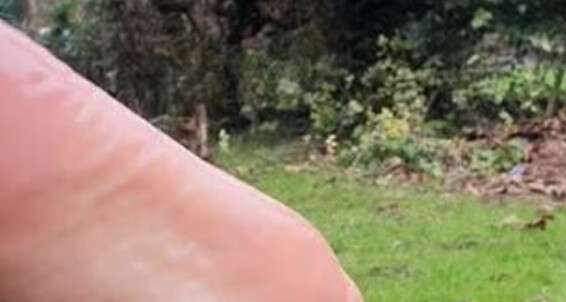 Feetbysherri, Video: Feet Onlyfans Mins 6 Video Oily