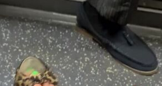 Feetbysherri, Video: Ball After Great Valentines Onlyfans Paw The Tube At Party Bossy A On Teasing Night