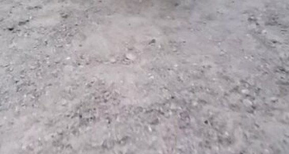 Feetbysherri, Video: Video 4142 Onlyfans