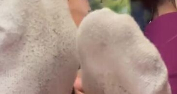 Natasha Aka Vibez3 - Fresh Removal Able To Them How After Aka Finally Onlyfans Much Know Natasha A Vibez3 Love Was I Sweaty The Gym Make Sock You