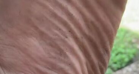 Natasha Aka Vibez3 - Natasha A Vibez3 Enjoy Toes Want And My Quick Aka Dirty Up Personal Tour Onlyfans Soles Close Of