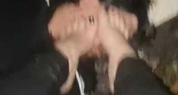 Goddess Amber, Video: Haha My Amber Goddessamber Money Video 30 His Took Aka Feet 11 With All Loseralert Tormnted 8 Amp Goddess Onlyfans 2022