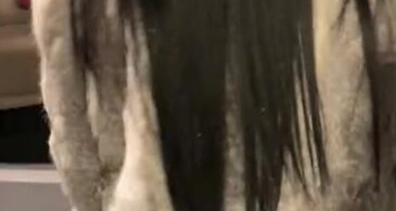 Miss Katie - Scared Didn This Guy T Flashing Through How Casino Onlyfans Know Misskatievip He And G Walking The Parkin Lot