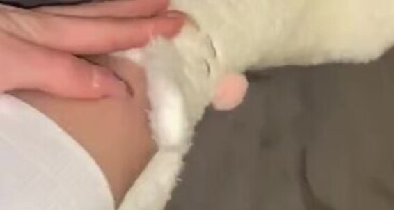 Vixen Arches - Day Your Removal New Done Bunny Closeup Vixenarches Valentine My Onlyfans By Of And Pedicure Trul Fluffy S Socks Video