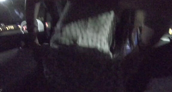 Layndare, Video: 80852681 Way Our So Of 20200715 We Trips On From One Day Back Were