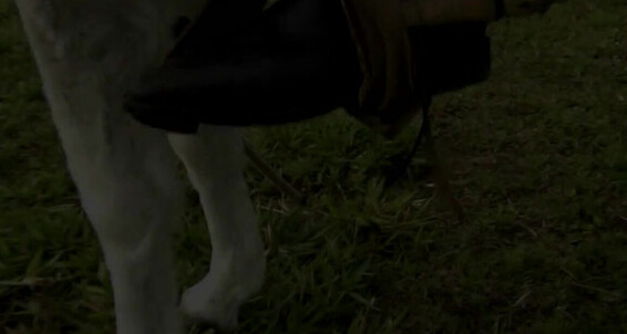 Gerald Hrfan - Ride On A From Beckys Dont Nice I But Ghrfan First Onlyfans Teaser Why The Know Burro