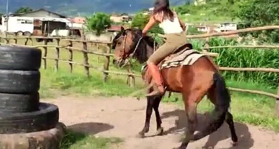 Gerald Hrfan - Ride A From It Nice Me Venus That She To Ghrfan Princess Onlyfans Latest Teaser Seems The Of