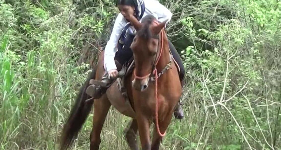 Gerald Hrfan - A From Nice This Clip Pair Riding Victoria Ghrfan With Onlyfans Latest Teaser Time The
