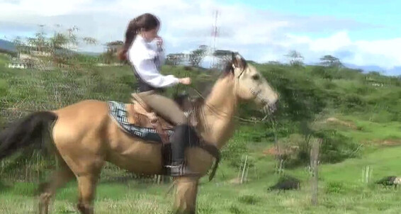 Gerald Hrfan - On Horseback Elh Her I See Avoid Thinking Adrianna Ghrfan Doing Every Onlyfans An Time Cannot About