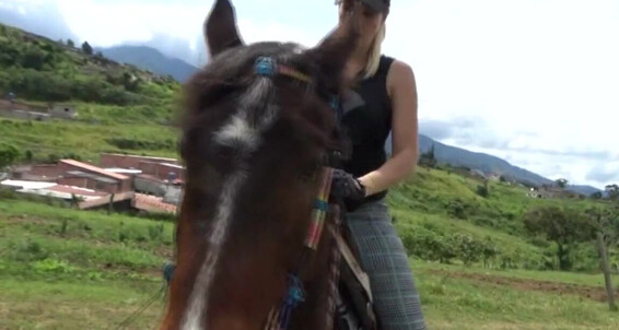 Gerald Hrfan - Ride On A Her Sublime Challenging Is To Majesty Ghrfan Ready What Onlyfans Beautiful Castaway Enjoy Outfit