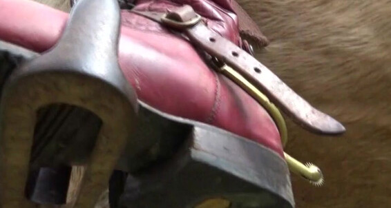Gerald Hrfan - A Be Chapa Used Is Going To Which Ghrfan Training Onlyfans For Aimed Horse The Teach
