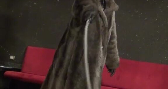 Gerald Hrfan - Goddess Diosa From A Fetish 3 After Made Gorgeous That Clip We Fur Ghrfan First Onlyfans The Second