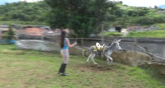 Gerald Hrfan - On Goddess A Only Better Is Riding Ghrfan Duo Onlyfans Latin Thing The Than Burro