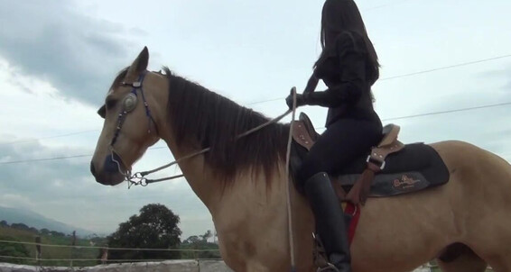 Gerald Hrfan - Serie Pain Of Clip One By Rm Ghrfan Equestrian Kalinda Onlyfans Latin Huntresses The F Second