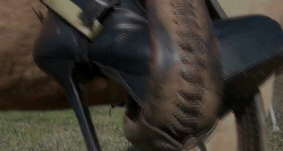 Gerald Hrfan - Boots Should Her Otk Sexiest Lrg And Nylons What Ghrfan With Onlyfans Else Rider The Leather Outfit
