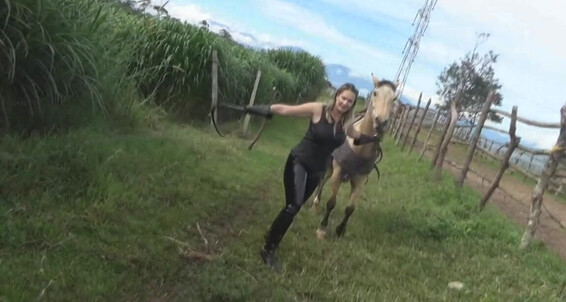 Gerald Hrfan - A Hard Cruel Day This Is Normal Ghrfan Equestrian Work Onlyfans Latin Realm In Huntresses The Under