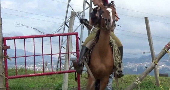 Gerald Hrfan - K Elh Absolute Femdom Genre Omg Things My This That Is Ghrfan Equestrian Onlyfans Favorite The Ama