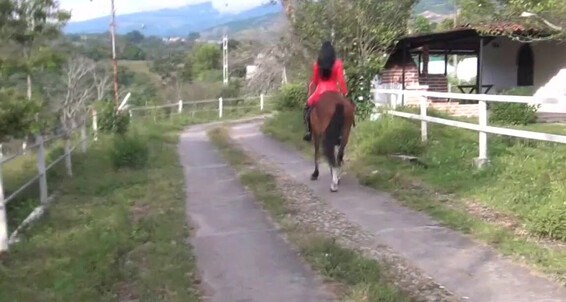 Gerald Hrfan - Still Latin Clips Remember This I Is Our What Ghrfan Creation Equestrian Onlyfans Inspired Huntresses The Of