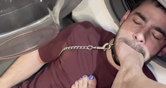 Maitresse Parker, Video: Onlyfans Me Distracts Maitresseparker My During 340859 He Break Cigarette