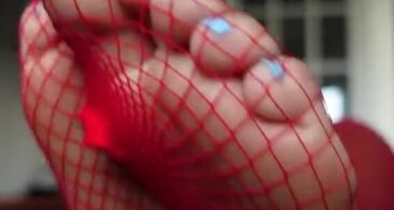 Tlnaxoxo, Video: Feet Asmr Onlyfans Fishnets Soles Video 2024 08 In 06 Oily