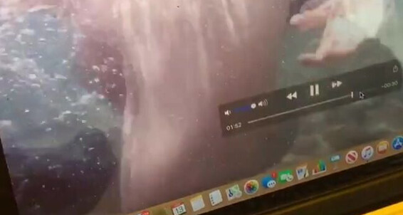 Fun Snorkeling 30 Throwback 115007470 2019 My 12 To