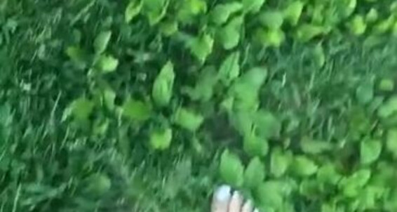 Anushka Velvet, Video: Walked Park Onlyfans So You Was The Anushkavelvet Nice Mean We A In I Today Day