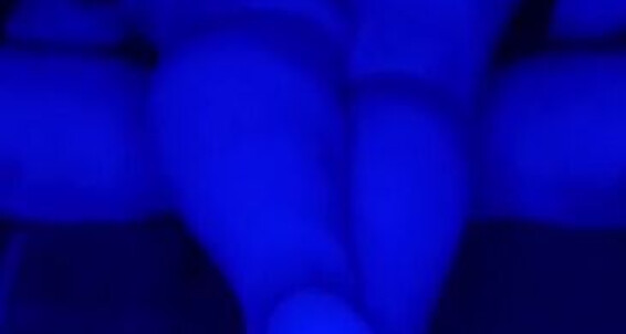 Petitesweettreatx, Video: 10 Watch Free 2024 Just Video Younow That You Didnt Will Shes Onlyfans Had Hungry And To 20