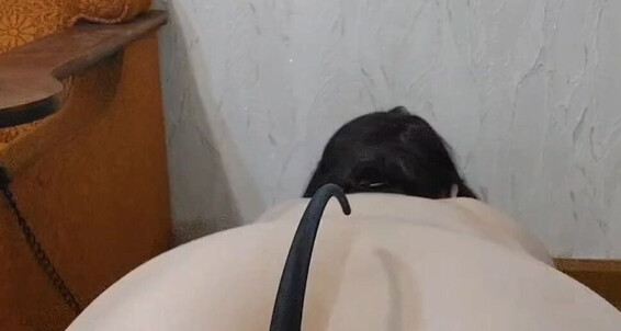 Fuck Toy, Video: Fuck For Toy Arion