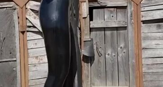 Piglet 2019 Onlyfans Katerinapiglet 21628 Katerina Nicknamed 08 Leaked Video Femdom 07