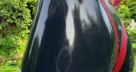 Katerina Piglet, Video: 2023 I Video Piglet Leggings The By Lake Tried Them Katerinapiglet 21 Nicknamed On Femdom Onlyfans New Katerina And Enjoyed 07