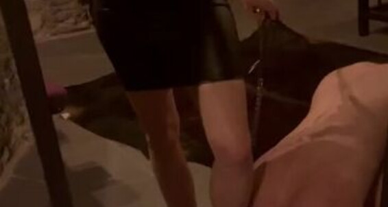 Red Queen - Femdom Good 2024 94 Comand Red Boy Come My Onlyfans Wait Fun A Like Dungeon Nicknamed For Sit The 01 At 13 Times Queen Video Feet
